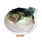 フグのポストカード